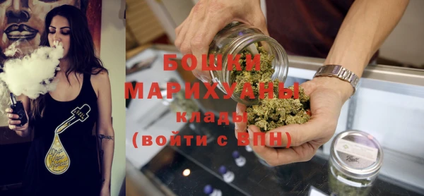 шишки Дмитриев