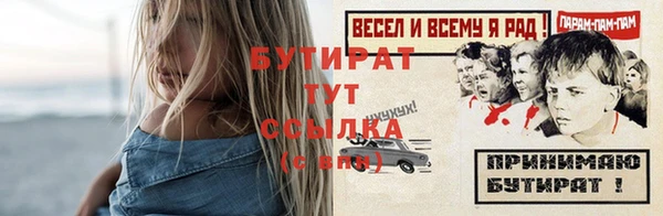 шишки Дмитриев