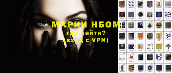 шишки Дмитриев
