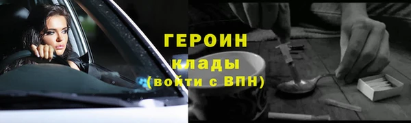 шишки Дмитриев