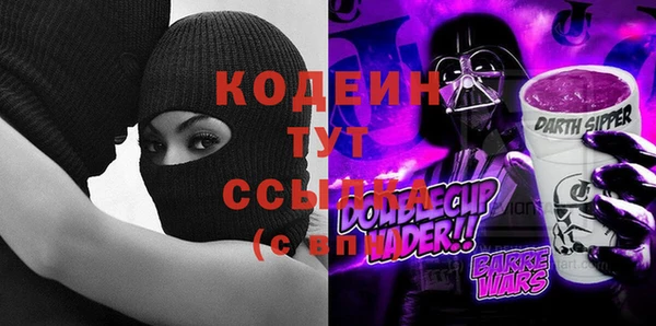 шишки Дмитриев