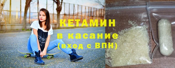 шишки Дмитриев