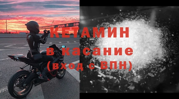 шишки Дмитриев