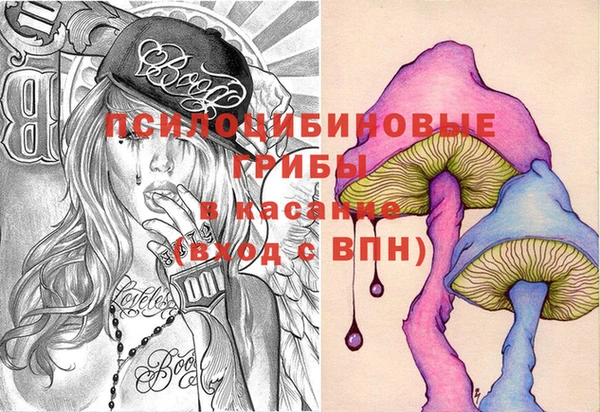 шишки Дмитриев