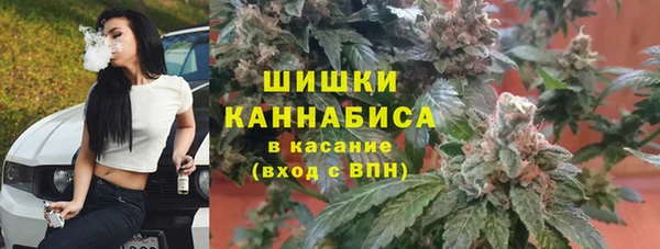 мет Дмитров