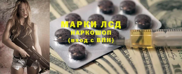 шишки Дмитриев