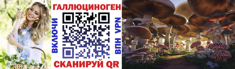 Псилоцибиновые грибы Psilocybine cubensis Заполярный